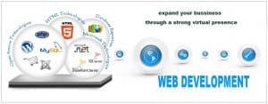 Web Development Company in Panchkula