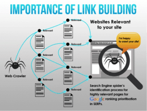 Importance of Link Building In SEO