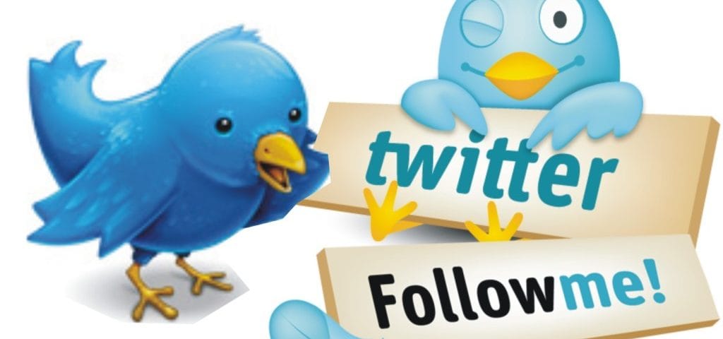 How to Increase Twitter followers organically