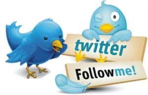 How to Increase Twitter followers organically
