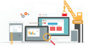 SEO Services for Dotnetnuke Websites