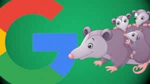 How SEO has Changed with Possum Update