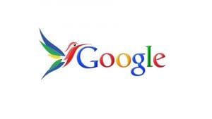 Google Hummingbird recovery services