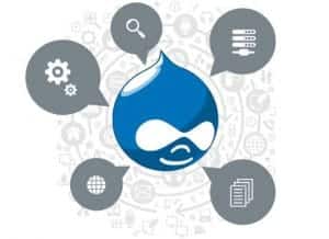 Drupal website development