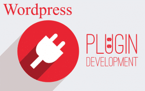 Worpress plugin development Services
