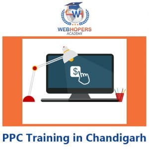 Top 10 PPC training Institutes in Chandigarh