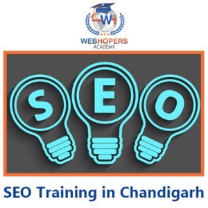 SEO Training in Chandigarh