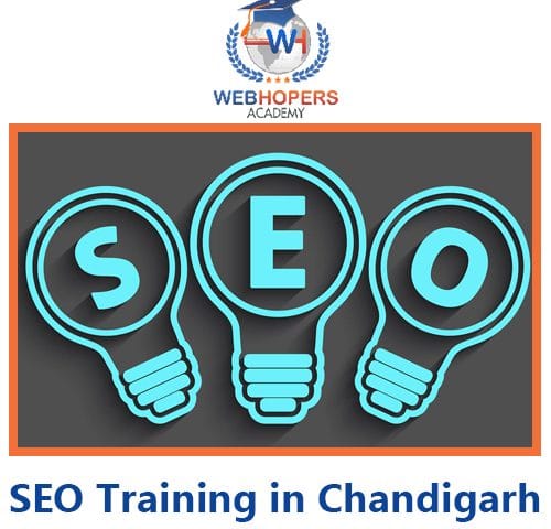 top 10 SEO Training Course in Chandigarh