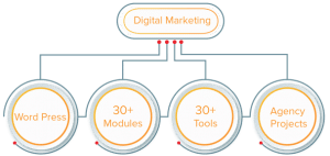 Digital Marketing Agency Opportunities in India