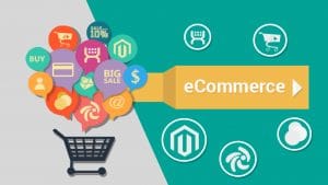 eCommerce Consultant in India