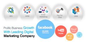 digital marketing company in Delhi