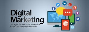 Digital marketing company in Karnal