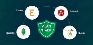 mean stack development company in India