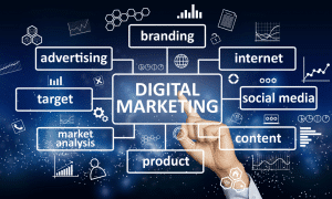 Digital Marketing Company in Kala Amb