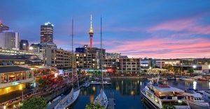 Digital marketing company NZ