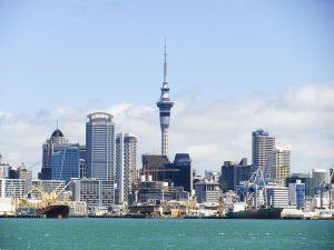 web design agencies in auckland