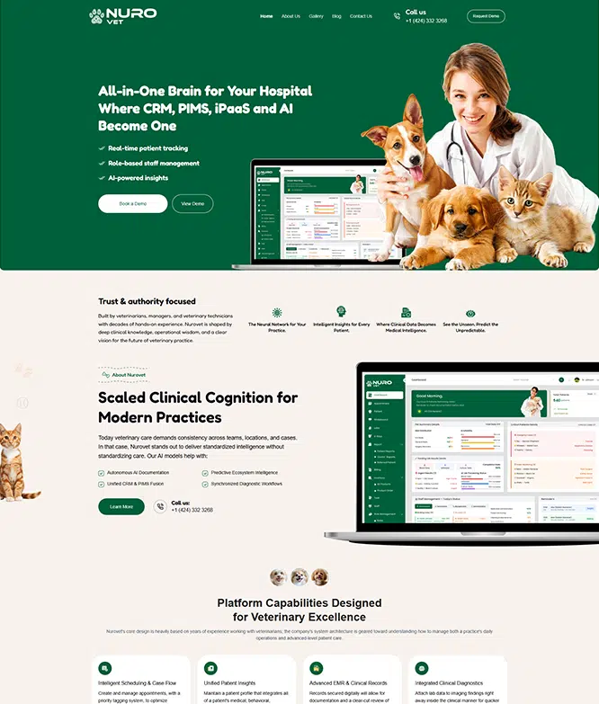 Website portfolio