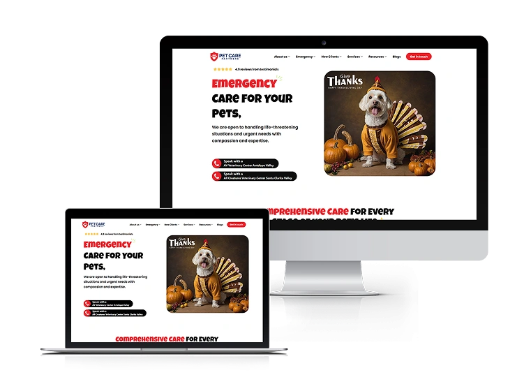 Web Development Packages