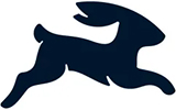 Directus