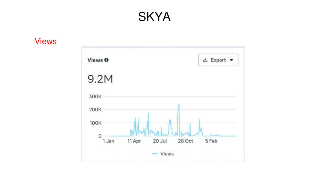 SKYA Case Study