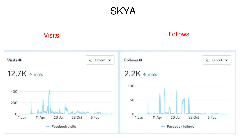 SKYA Case Study