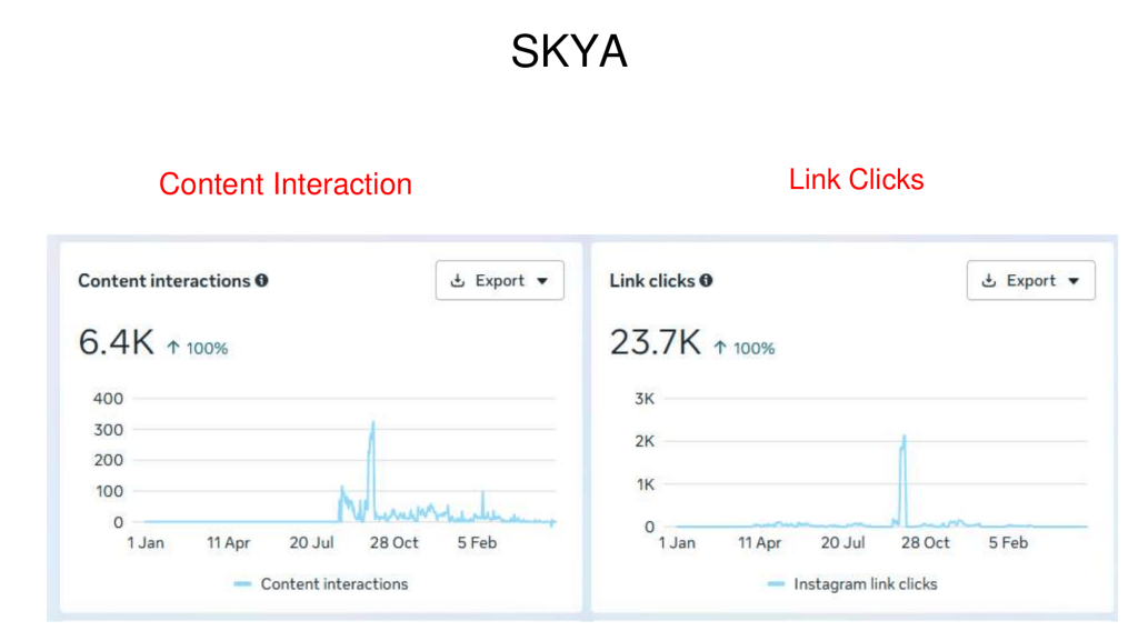 SKYA Case Study