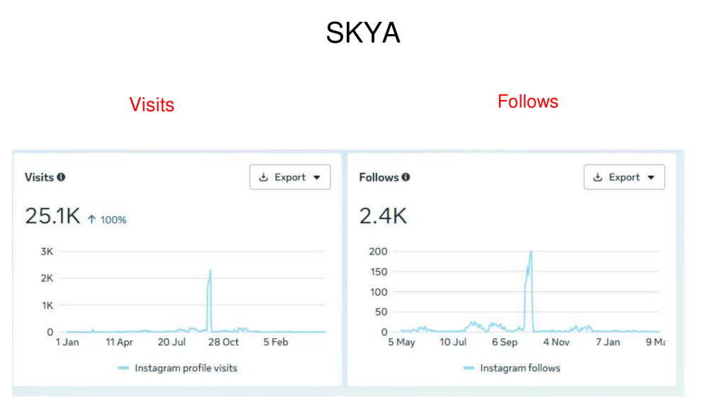 SKYA Case Study